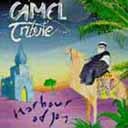 Camel Tribute