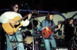 NC-199502.jpg (49673 byte)