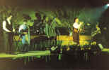 NC-Somma1991.jpg (44948 byte)